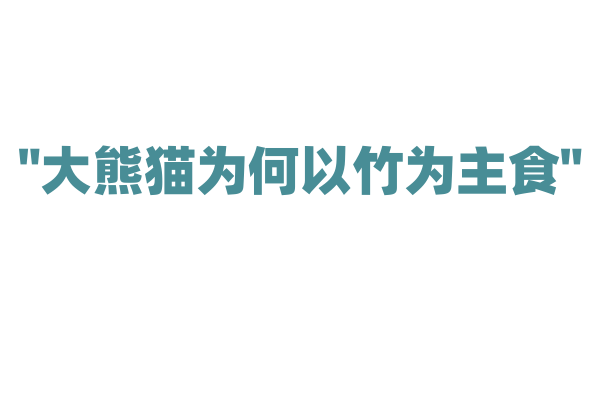 "大熊猫为何以竹为主食"